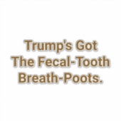 Trump's Fecal-Tooth Poots Hankamer Artjunkhaus シール (正面)