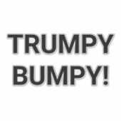 TRUMPY BUMPY Hankamer Artjunkhaus Comic Splash-Art シール (正面)