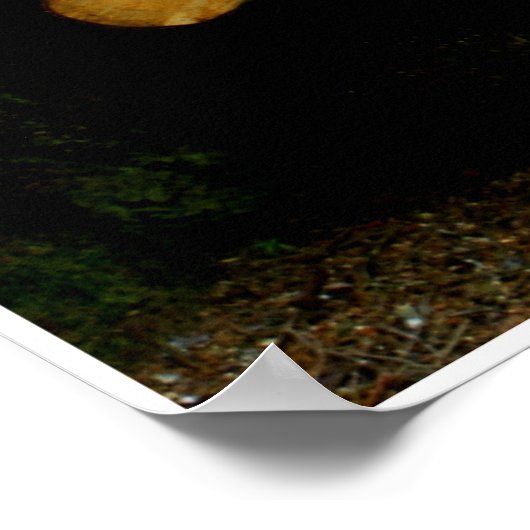 Trunks by Johannes Stötter ポスター (角)