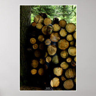 Trunks by Johannes Stötter ポスター