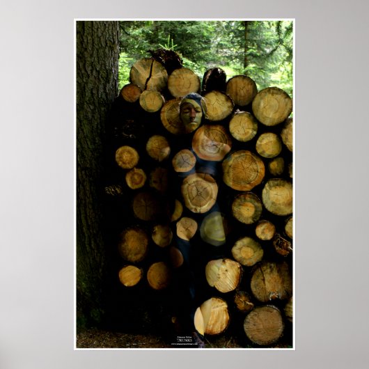 Trunks by Johannes Stötter ポスター (正面)