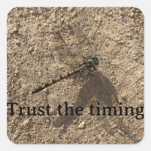 Trust the Timing Sticker スクエアシール (正面)
