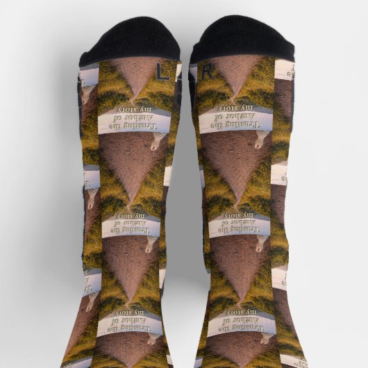 Trusting the Author ソックス (上部)