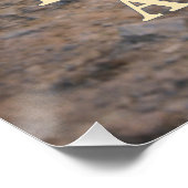 Trusting the Author ポスター (コーナー)