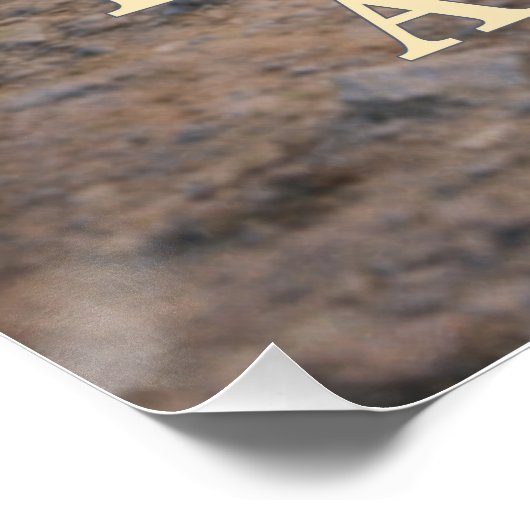 Trusting the Author ポスター (コーナー)