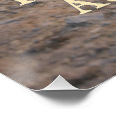 Trusting the Author ポスター (コーナー)