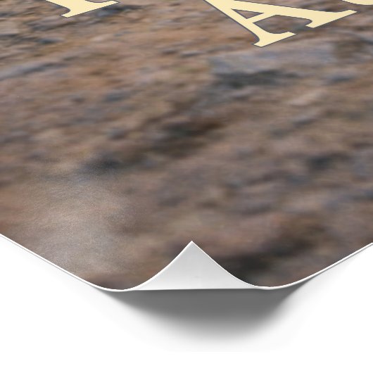 Trusting the Author ポスター (コーナー)