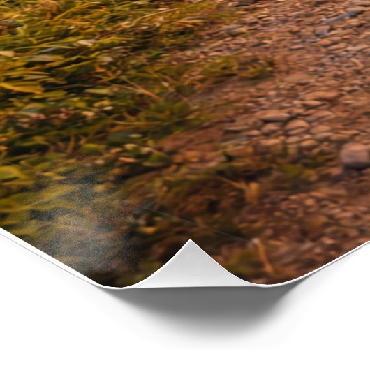 Trusting the Author ポスター (コーナー)