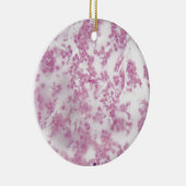 Trypanosoma bの人の血液の顕微鏡の写真 セラミックオーナメント (右)