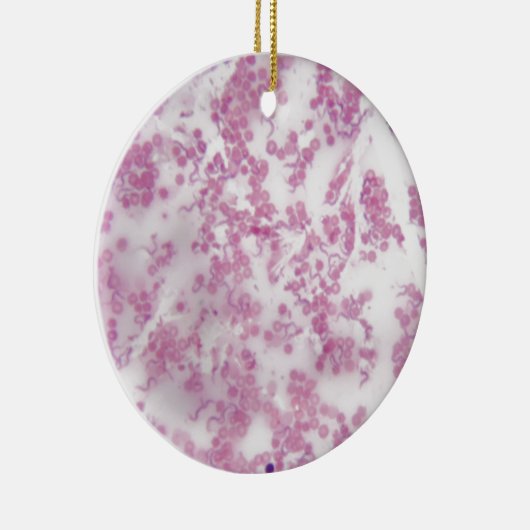 Trypanosoma bの人の血液の顕微鏡の写真 セラミックオーナメント (右)
