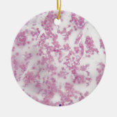 Trypanosoma bの人の血液の顕微鏡の写真 セラミックオーナメント (正面)