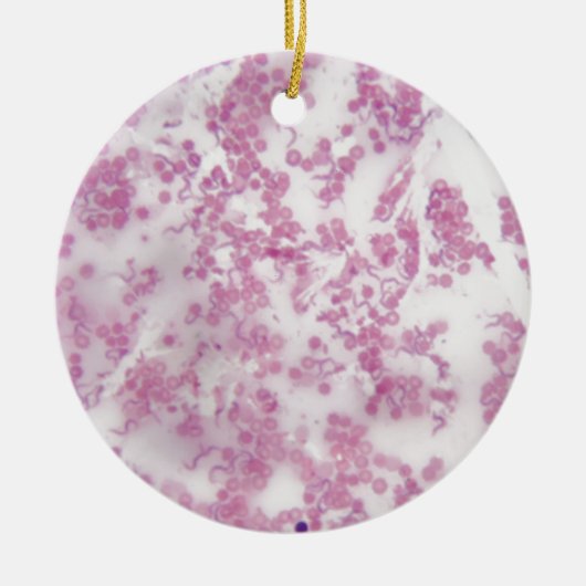 Trypanosoma bの人の血液の顕微鏡の写真 セラミックオーナメント (正面)