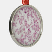 Trypanosoma bの人の血液の顕微鏡の写真 メタルオーナメント (右)