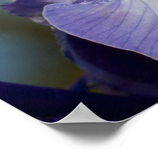 TSエリオット引用文ウォータードロップオンアイリス ポスター (角)