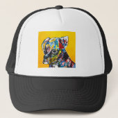 TSB / PUP HAT / INTERLUDE PIXTURES キャップ (正面)