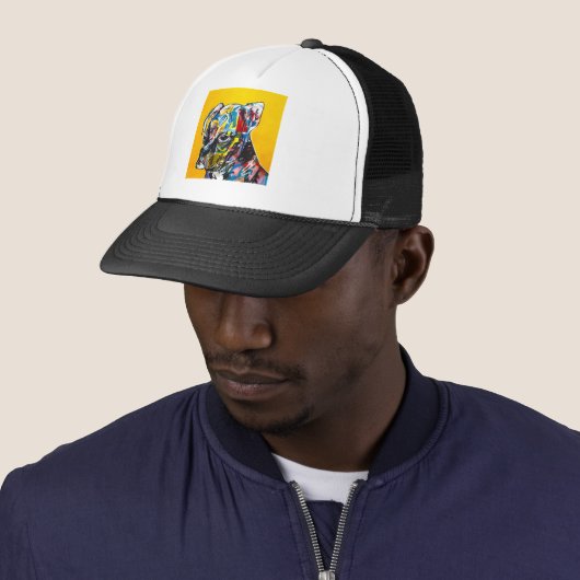 TSB / PUP HAT / INTERLUDE PIXTURES キャップ (インサイチュ)