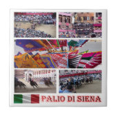 TSC060 SIENA、パリオモザイク、トスカーナ タイル (正面)