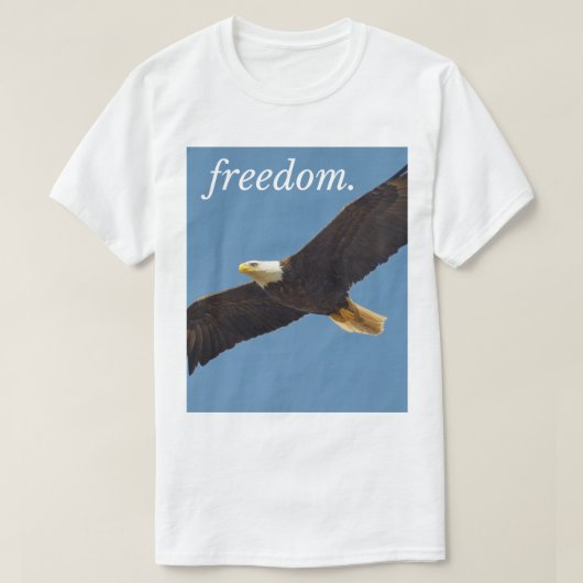 Tshirt for men dream freedom tシャツ (デザイン正面)