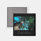 Tsitsikamma国立公園南アフリカ磁石 マグネット (正面/裏面)