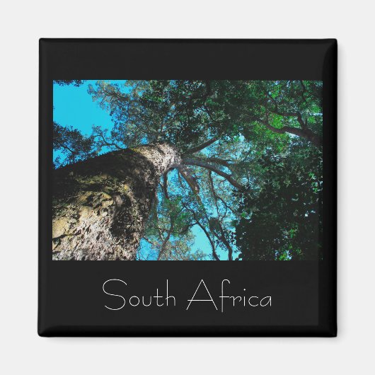 Tsitsikamma国立公園南アフリカ磁石 マグネット (正面)