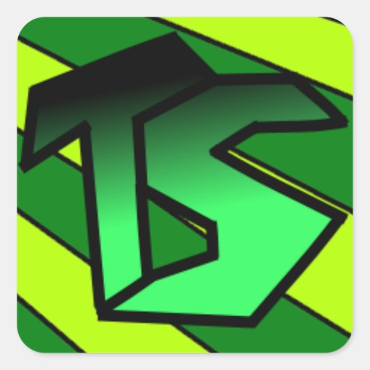 TSteinzステッカー スクエアシール (正面)