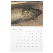 tsukijiの写真撮影2014年 カレンダー (1月 2026)