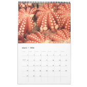 tsukijiの写真撮影2014年 カレンダー (3月 2026)