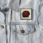 TTVボタンは上がりました 缶バッジ (インサイチュ)