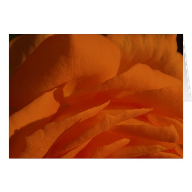 Túのeres miのamor、miのvida (正面横)