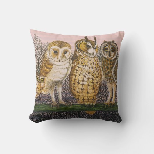 Tuほんの少しTuwhooing クッション (正面)