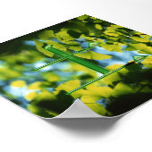 Tu（地球） ポスター (角)