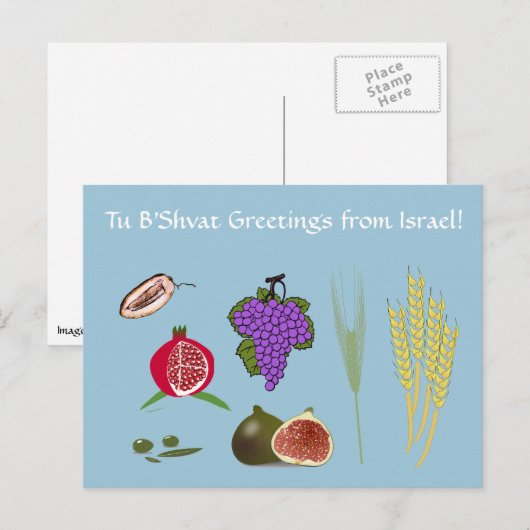 Tu Bisvat - 7分 ポストカード (正面/裏面)