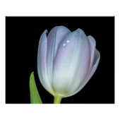 Tu y yo. ポスター (正面)