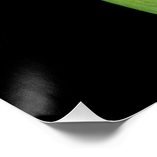 Tu y yo. ポスター (コーナー)