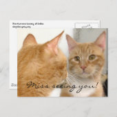 Tubo -恋しく思お会い!ポストカード ポストカード (正面/裏面)