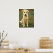 Tucker  ポスター (キッチン)