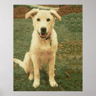 Tucker  ポスター