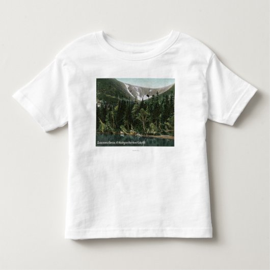 Tuckermans峡谷、Mt.ワシントン州の眺め トドラーTシャツ (正面)