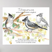 Tufted Titmouse Songbird Leaves Trees ポスター (正面)