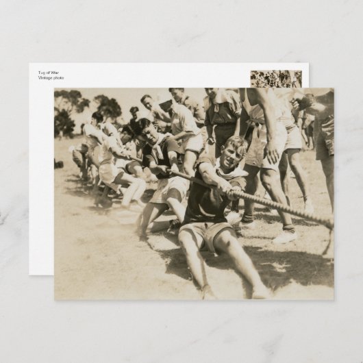 Tug of Warのヴィンテージ写真 ポストカード (正面/裏面)