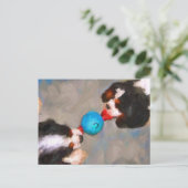 Tug of War Cavalier KCスパニエル犬はがき ポストカード (スタンド正面)