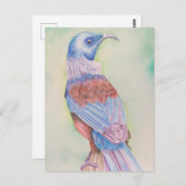 Tui – はがき (正面/裏面)