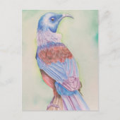 Tui – はがき (正面)