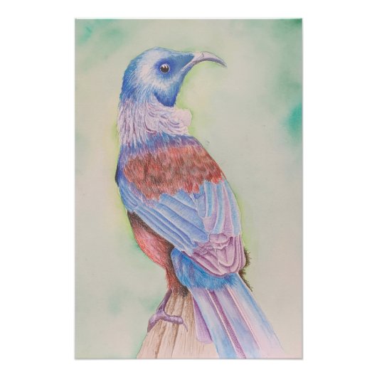 Tui - poster ポスター (正面)