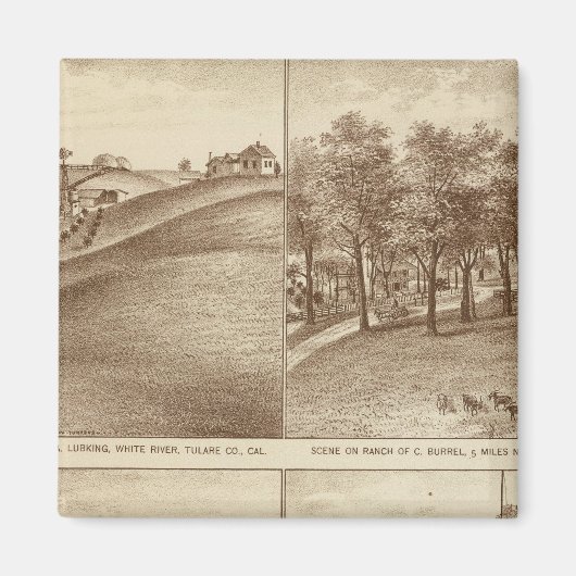 Tulare Co牧場、オフィス マグネット (正面)