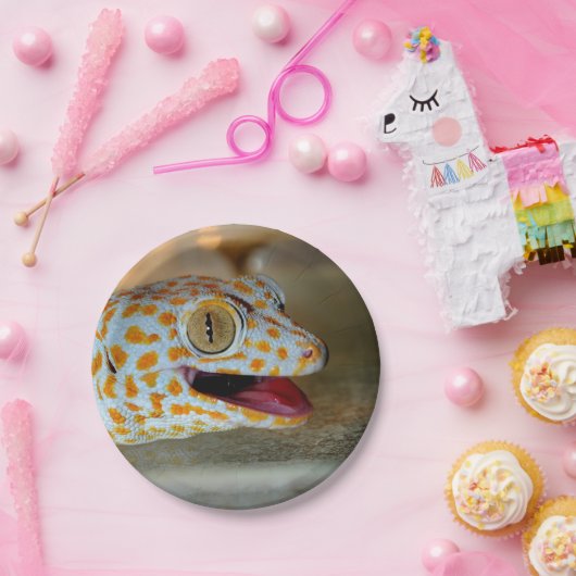 TulaZooのTokayのヤモリのポートレートの上で閉めて下さい ペーパープレート (パーティー)