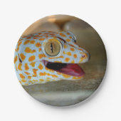 TulaZooのTokayのヤモリのポートレートの上で閉めて下さい ペーパープレート (正面)