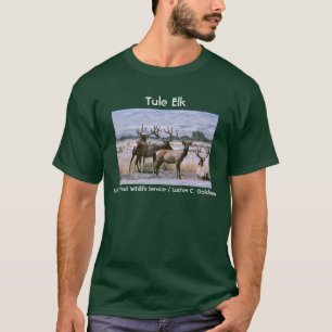 Tuleのオオシカ Tシャツ