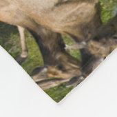 Tule Elk| Point Reyes National Seashore, CA フリースブランケット (角)
