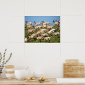 Tule Elk| Point Reyes National Seashore, CA ポスター (キッチン)